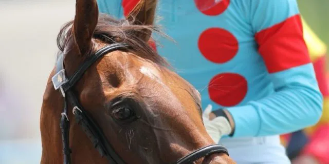 【マーメイドS予想2017】ローズウィスパー、得意の舞台で軽ハンデを生かした競馬に期待！