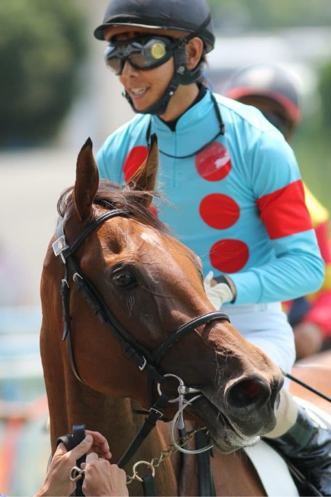 【マーメイドS予想2017】ローズウィスパー、得意の舞台で軽ハンデを生かした競馬に期待！