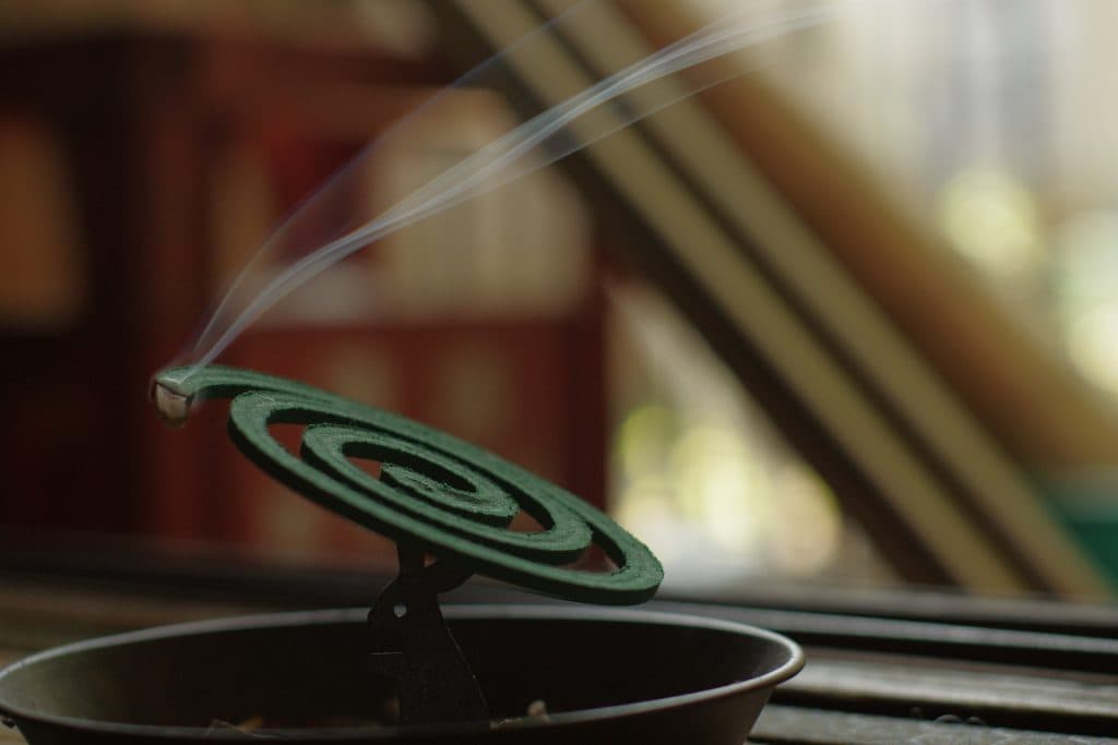 最近は夏競馬参加者が増加中！？