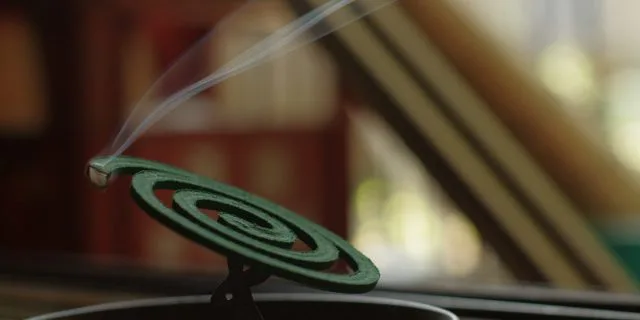 最近は夏競馬参加者が増加中！？