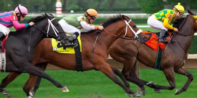 【皆生特別2017予想】東京の借りは阪神で返す！