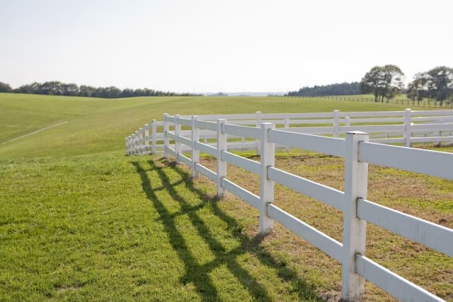 牧場見学へ行ったことはありますか？牧場見学のマナーや注意点について
