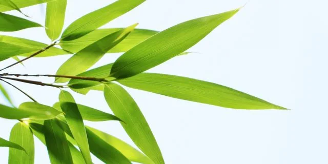 【七夕賞2017予想】“福島巧者”の「2頭」とは？