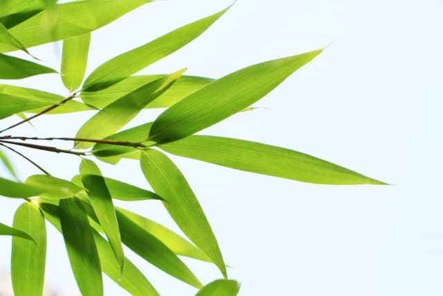 【七夕賞2017予想】“福島巧者”の「2頭」とは？