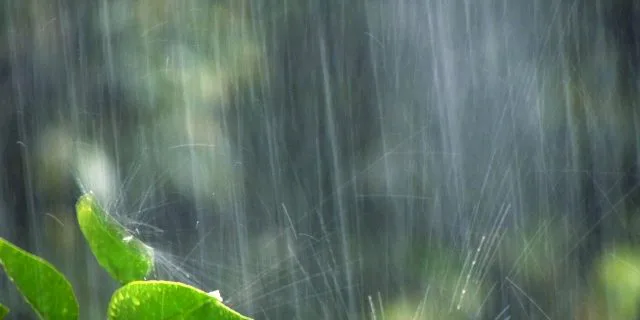 【共同通信杯2018予想】ステイフーリッシュ、“恵みの雨”となるか？