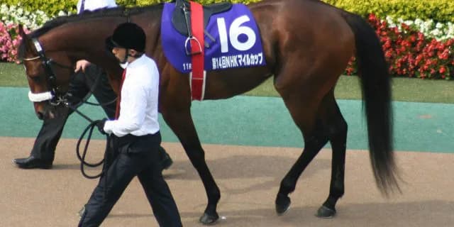 ブレイクランアウトの最高傑作が江の島特別に登場！