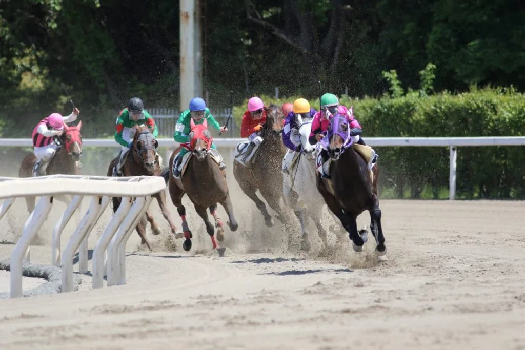 【兵庫チャンピオンシップ2023予想】21年連続JRA所属馬勝利、今年も地元兵庫勢は劣勢か？