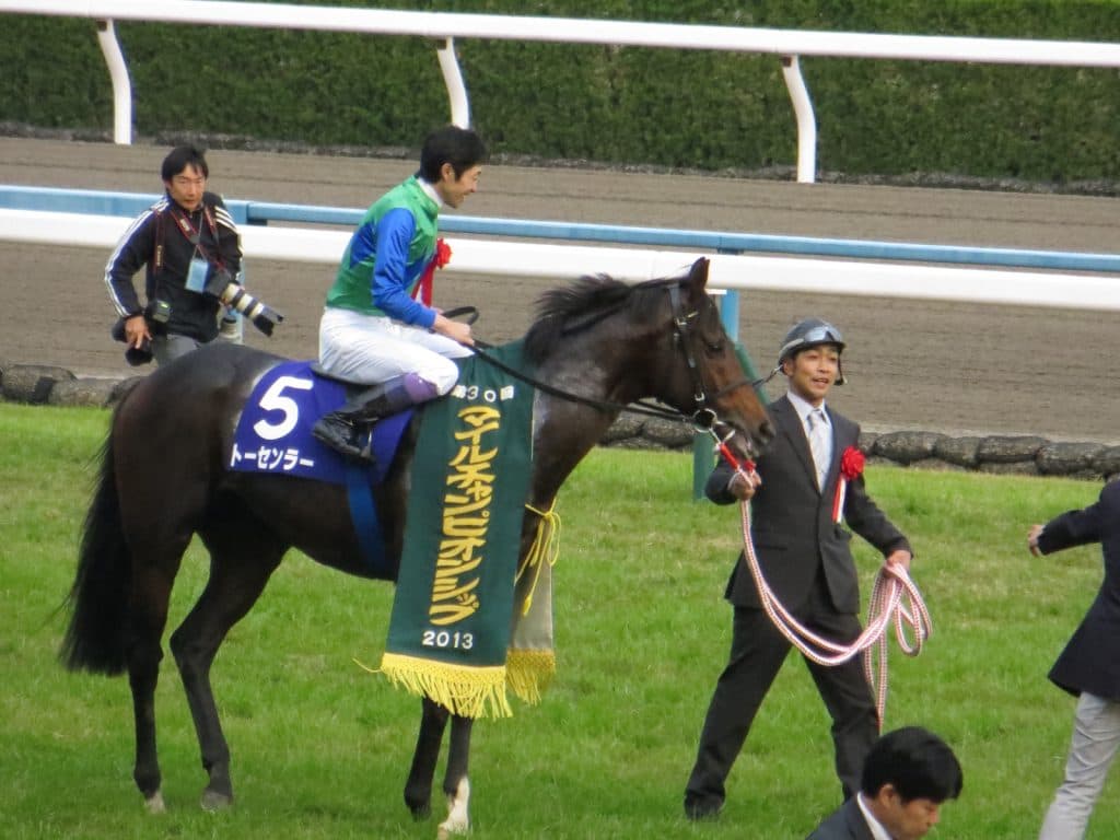 いよいよ新馬戦開幕、今週は新種牡馬産駒4頭デビュー