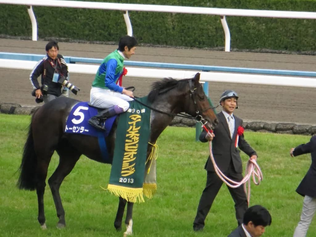 いよいよ新馬戦開幕、今週は新種牡馬産駒4頭デビュー