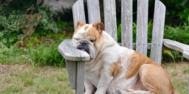 怒涛の連続G1が終わり。今週は一息？