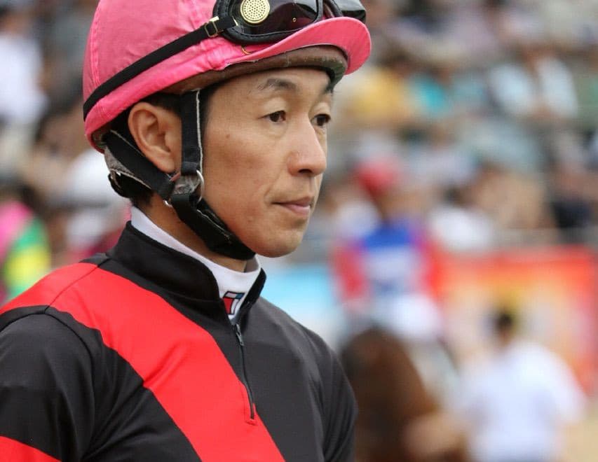 【木曽川特別2017予想】武豊騎手とサトノリュウガ、因縁のコンビで勝利を目指す