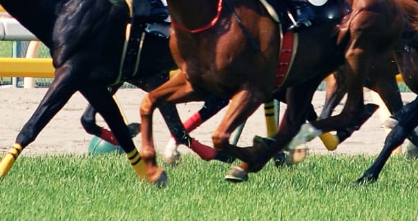 競馬の心理テスト？「逃げ馬」か「追い込み馬」どちらが好きかで人生の願望が分かる？