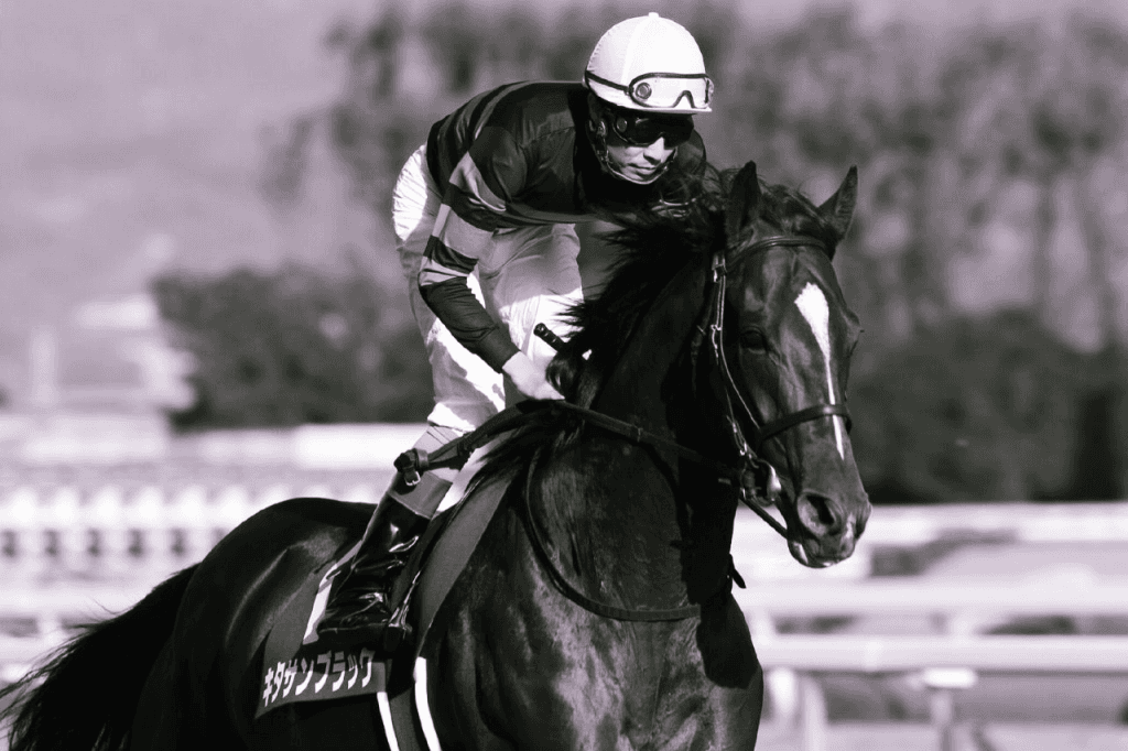 キタサンブラックの遠征中止は賢明な判断だろう