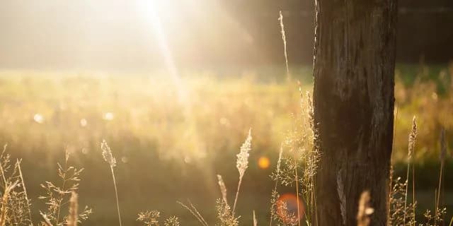 福島・中京・函館いよいよ、7月に突入本格的な夏競馬スタート