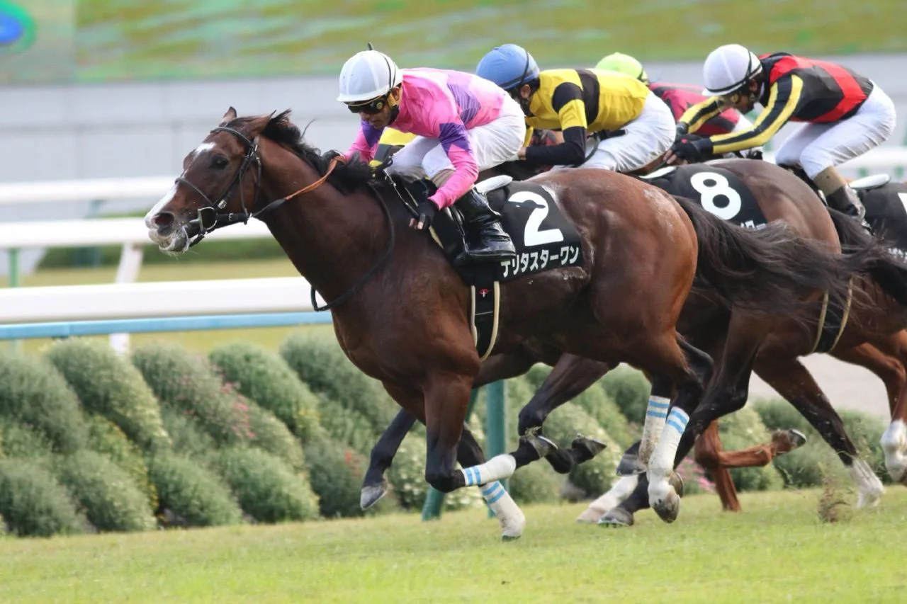 【アイビスサマーダッシュ2017予想】ショウナンカンプ産駒のナリタスターワンが初の直線1000mを父親ばりのスピードで好走か!