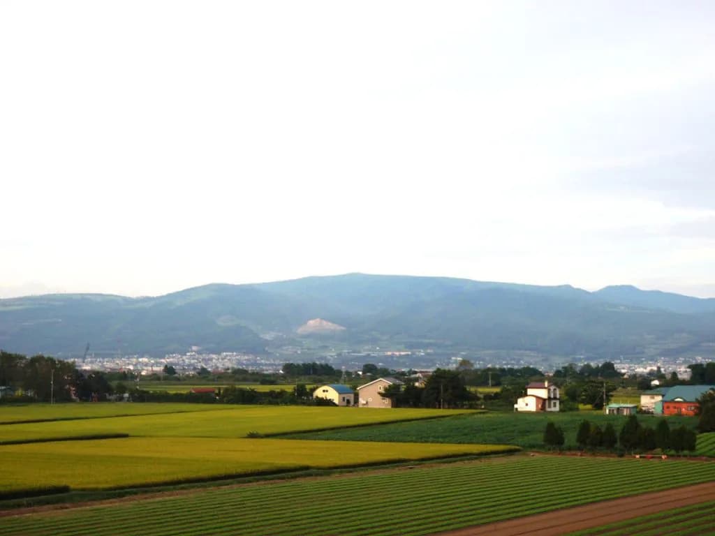 【横津岳特別予想】トロピカルストーム得意の函館で結果を出せるか