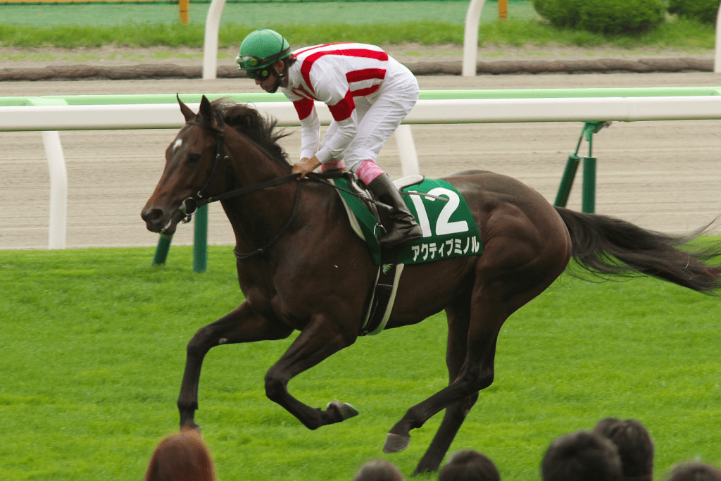 アクティブミノル、船橋競馬へ移籍