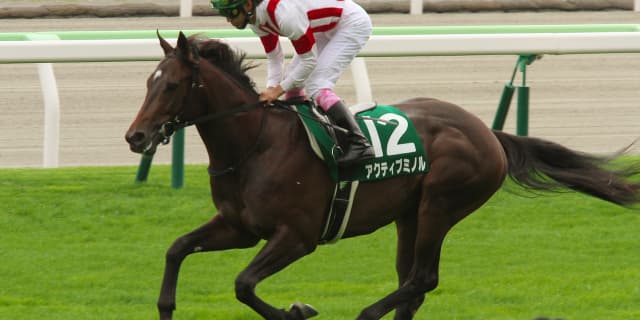 アクティブミノル、船橋競馬へ移籍