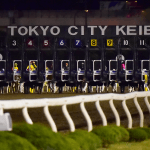 【東京大賞典2025】ミッキーファイトやナルカミなど16頭の選定馬が決定