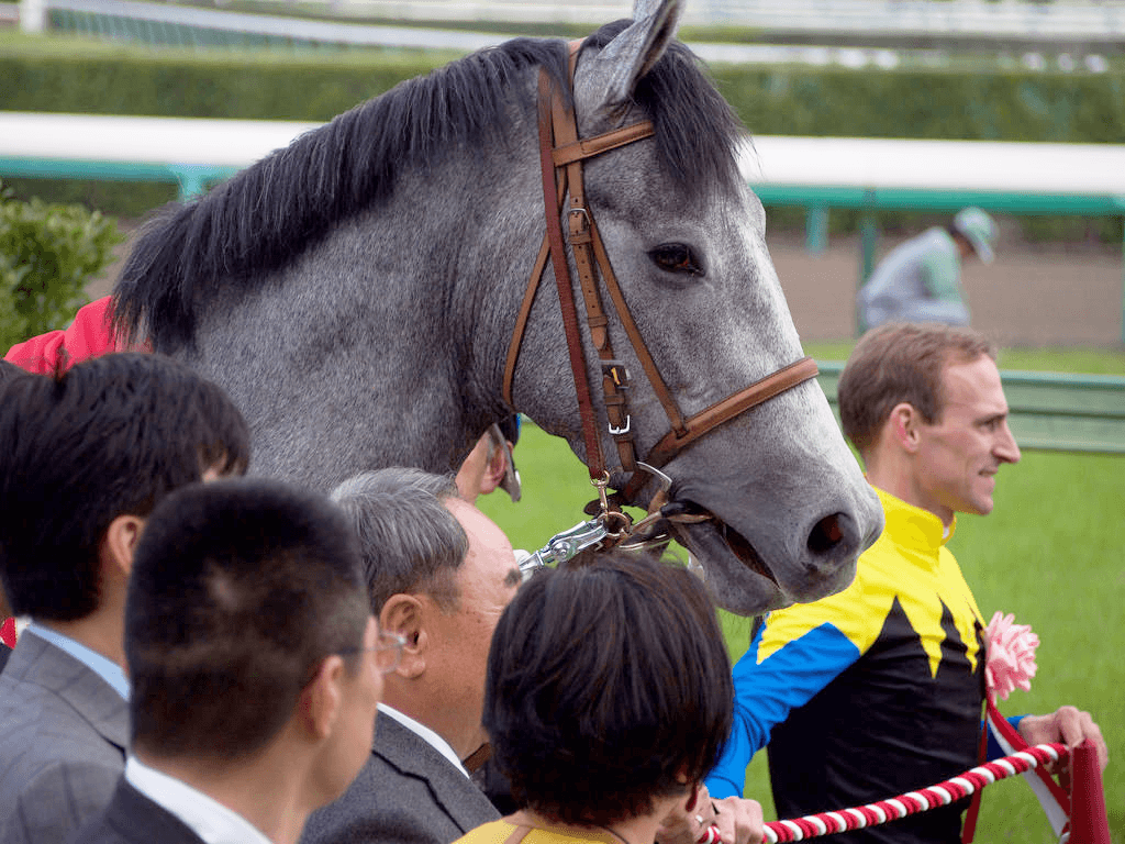 福島テレビオープン(2017)の予想！マウントロブソンの復帰戦Vに期待