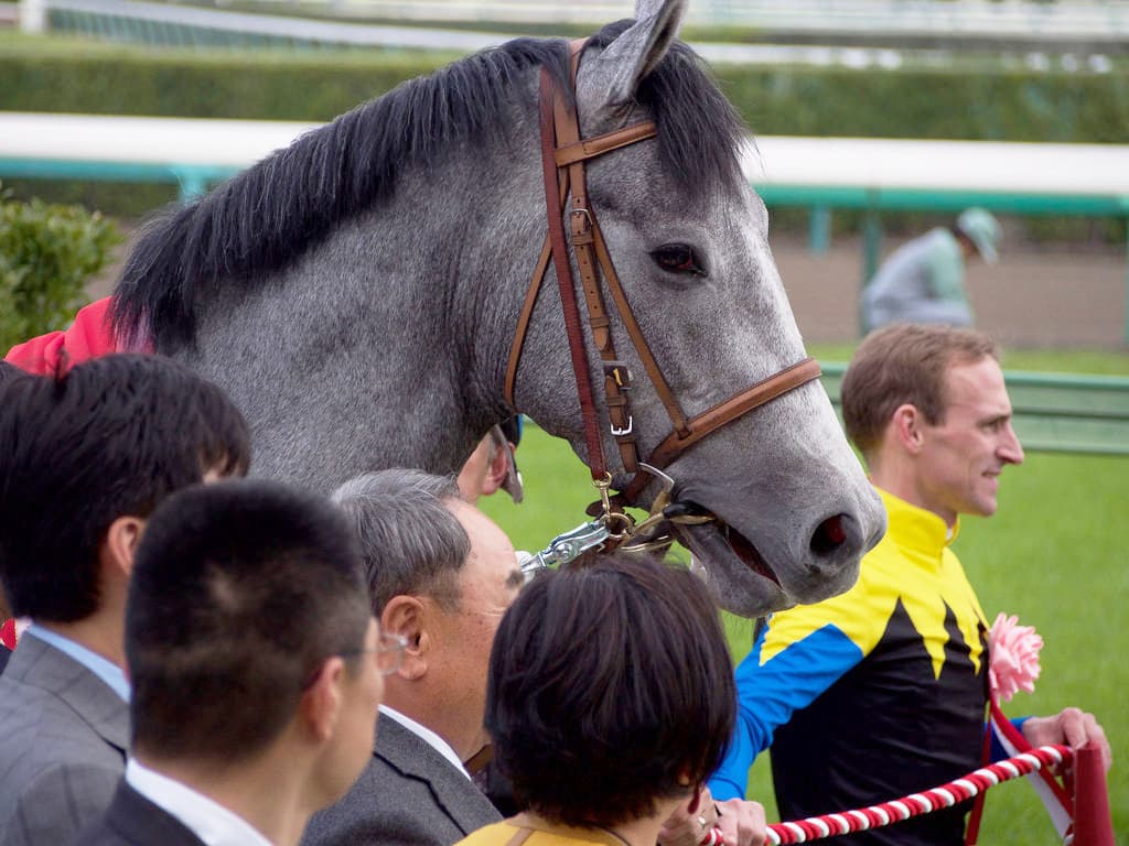 福島テレビオープン(2017)の予想！マウントロブソンの復帰戦Vに期待