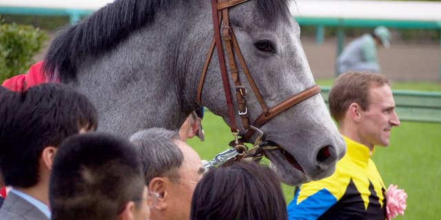 福島テレビオープン(2017)の予想！マウントロブソンの復帰戦Vに期待