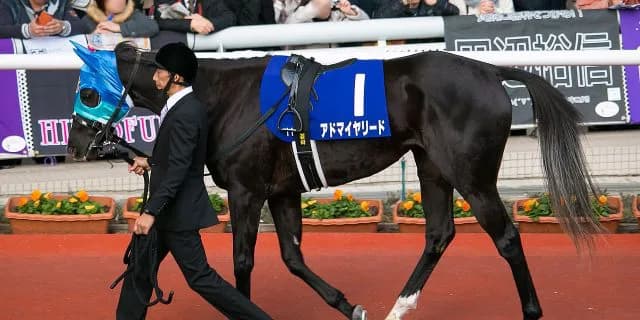 【東京新聞杯予想2018】波乱にも注意？G1馬が3頭いるが、決して不動ではない