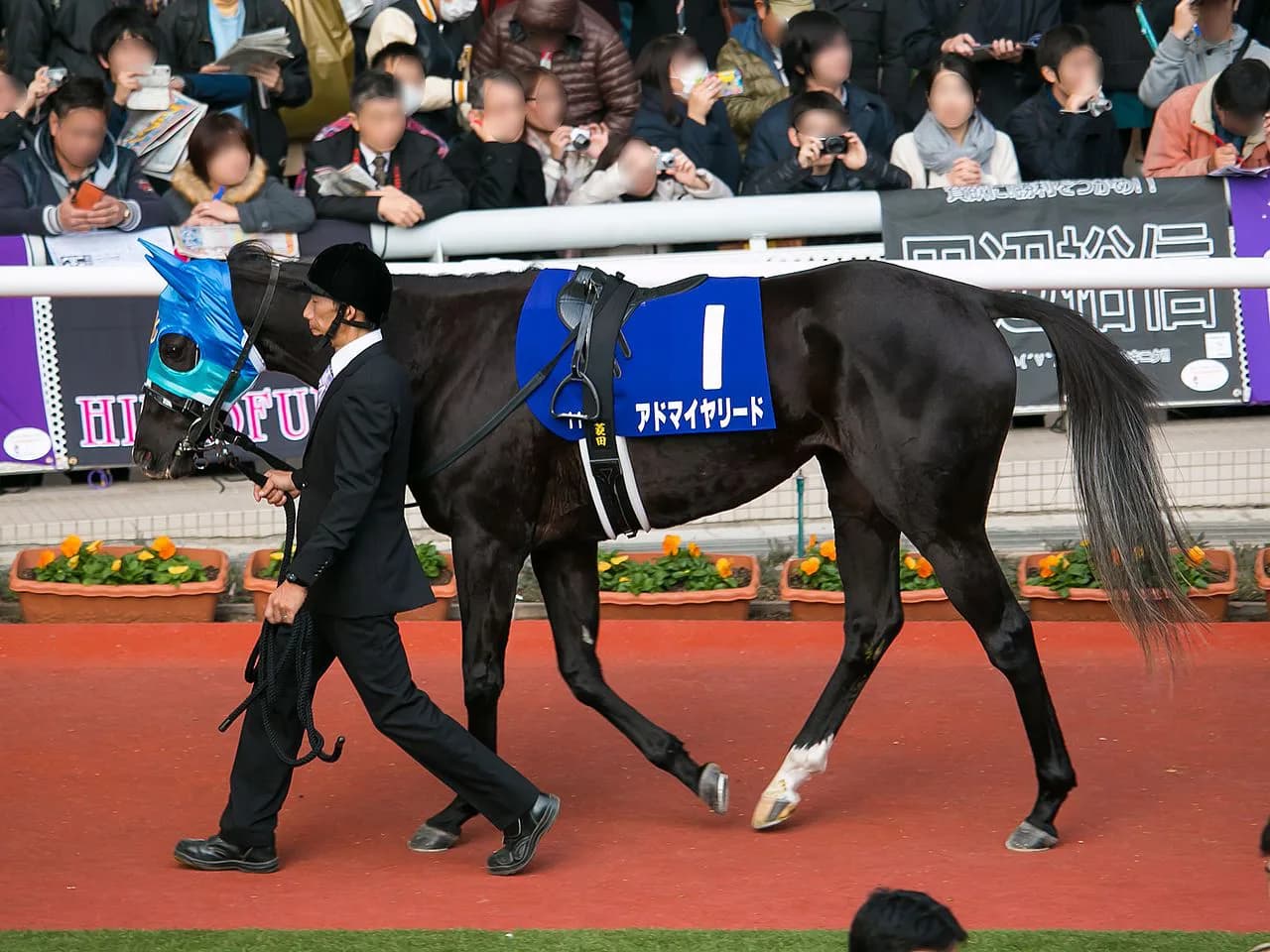 【東京新聞杯予想2018】波乱にも注意？G1馬が3頭いるが、決して不動ではない