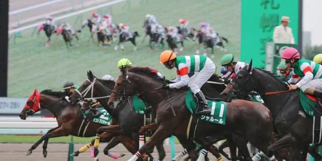 【キーンランドカップ予想2025】夏のスプリント王の座を巡り実績馬が集結！パンジャタワーやウインカーネリアンなど出走予定馬を考察