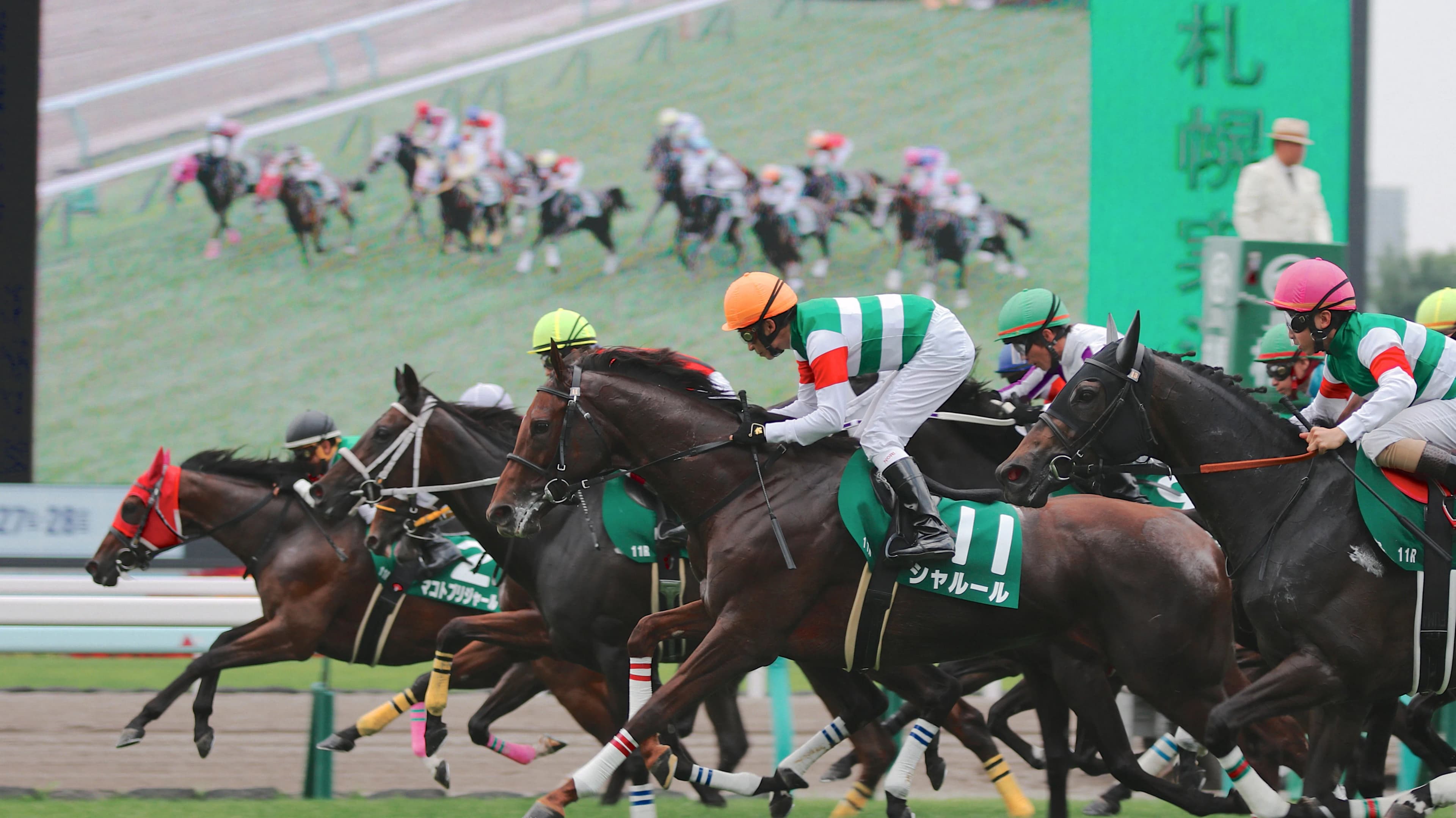 【札幌記念2019予想】豪華メンバーの“スーパーG2”！フィエールマンやワグネリアンなど出走予定馬を考察
