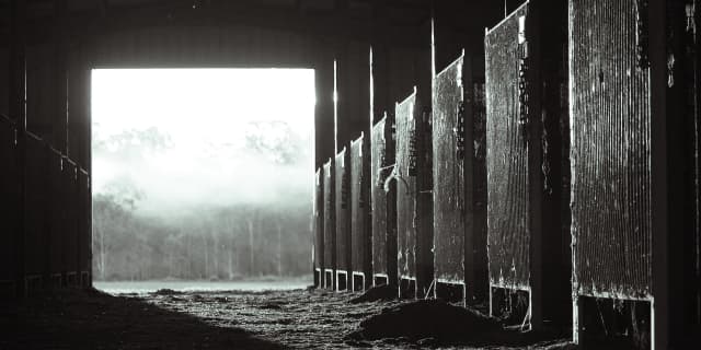 00年朝日杯覇者メジロベイリー、老衰のため死亡