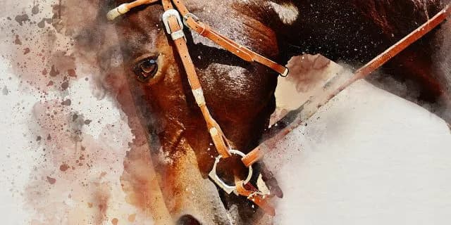 降級制度は2019年で廃止！「夏の降級馬」が買えるのは来年で最後！