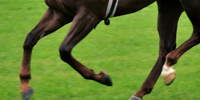 【関屋記念2017予想】逃げ馬が強力なメンバー構成も、適性充分なショウナンバッハの差し切りに期待！