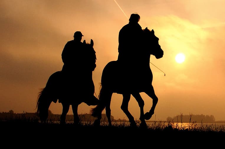 【香港ヴァーズ2018予想】エリ女1,2着コンビ、牝馬苦戦のレースにどこまで食い込める？