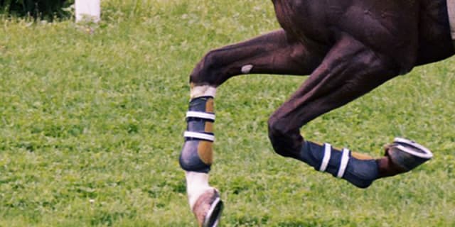 【フェアリーS予想2018】プリモシーン、使いながら良化！