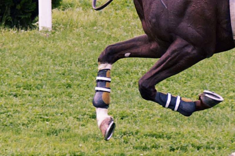 【フェアリーS予想2018】プリモシーン、使いながら良化！