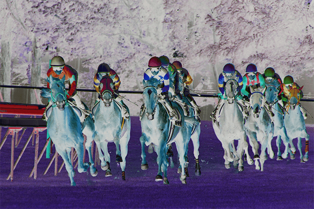 【中山牝馬S予想2019】荒れるハンデ戦！ミッキーチャームやノームコアなど、出走予定馬を考察