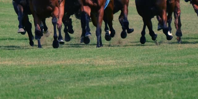 【中山記念2019予想】スワーヴリチャードやディアドラなど、出走予定馬を考察