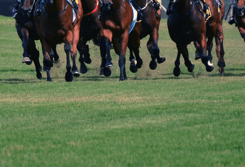 【中山記念2019予想】スワーヴリチャードやディアドラなど、出走予定馬を考察