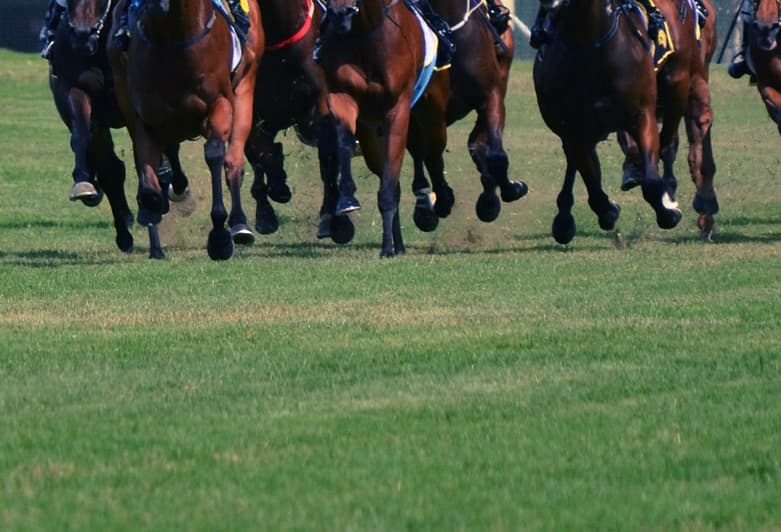 【中山記念2019予想】スワーヴリチャードやディアドラなど、出走予定馬を考察