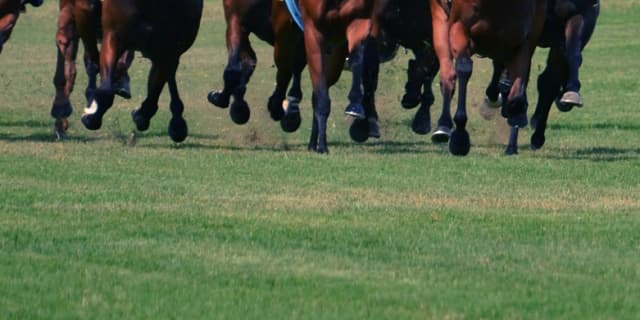 【ダイヤモンドS予想2018】長距離巧者のベテラン勢が有力も、新興勢力の躍進にも注目