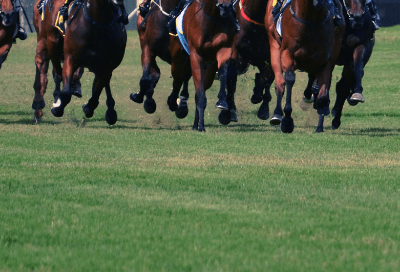 【ダイヤモンドS予想2018】長距離巧者のベテラン勢が有力も、新興勢力の躍進にも注目