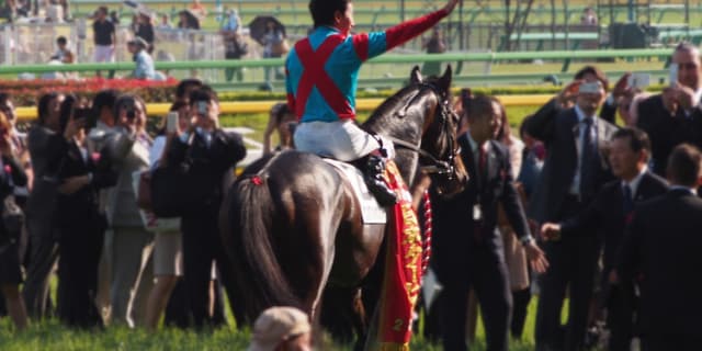 ダービー馬のワンアンドオンリー引退、種牡馬へ