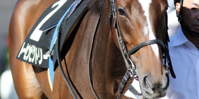 【クイーンS2017予想】データも後押し！器用さが光るトーセンビクトリーに注目