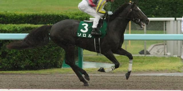 【阪神ジャンプＳ】ソロル乗り替わりも心配無用？重賞連勝待ったなしか
