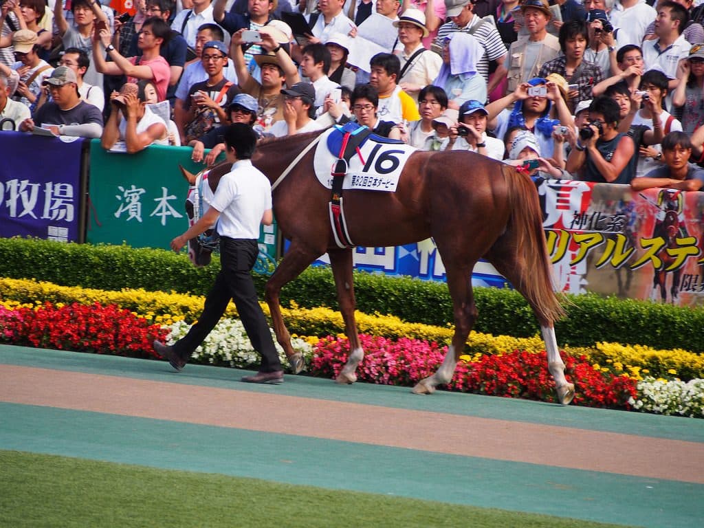 【小倉記念2017予想】穴を開けるのは夏バテ知らずの“アノ馬”？