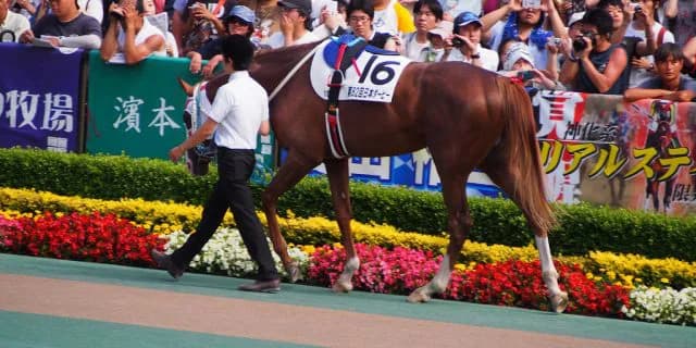 【小倉記念2017予想】穴を開けるのは夏バテ知らずの“アノ馬”？