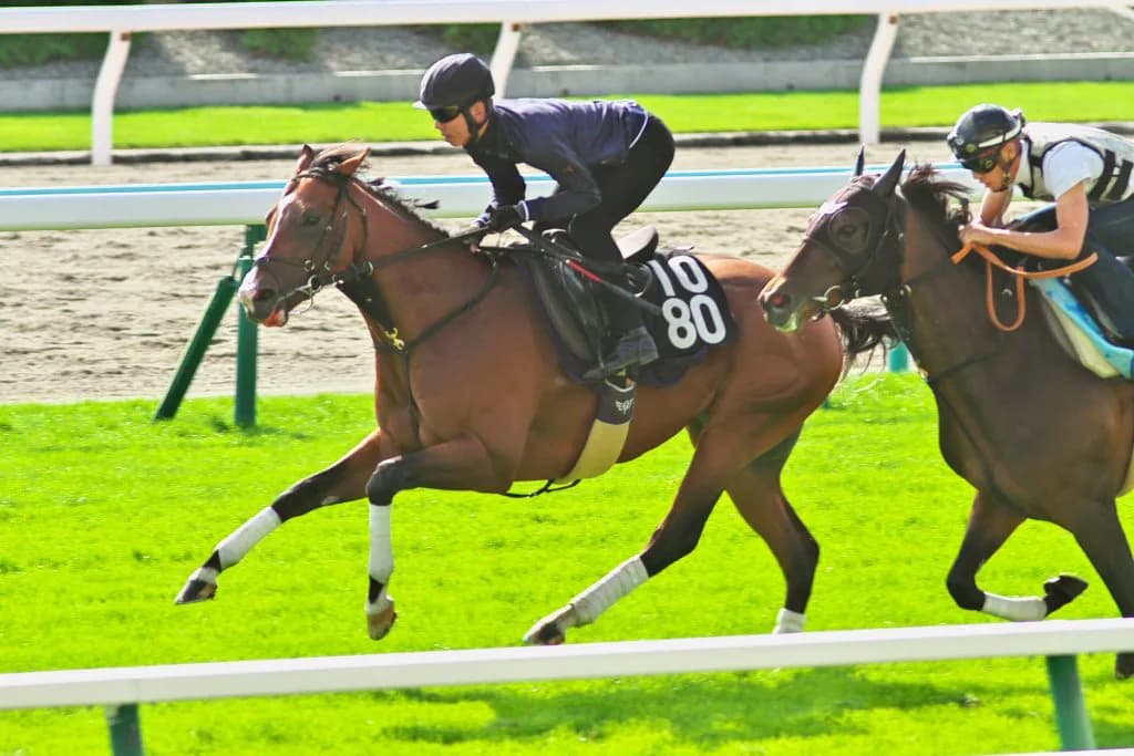 【キーンランドC2017】ようやく適距離！今年も3歳馬モンドキャンノに注目