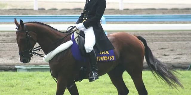 “小倉三冠馬”メイショウカイドウ、かつての主戦・武豊を背に誘導馬引退
