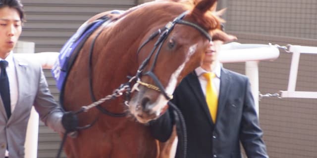 【札幌記念2017】折り合い面で不安のあるエアスピネル、ルメールへの乗り替わりが吉と出るか？